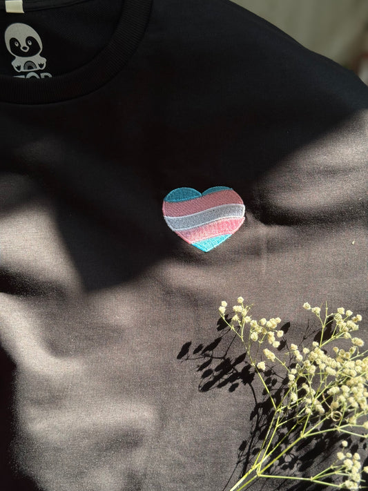 Transgender Flag Oversized T-shirt