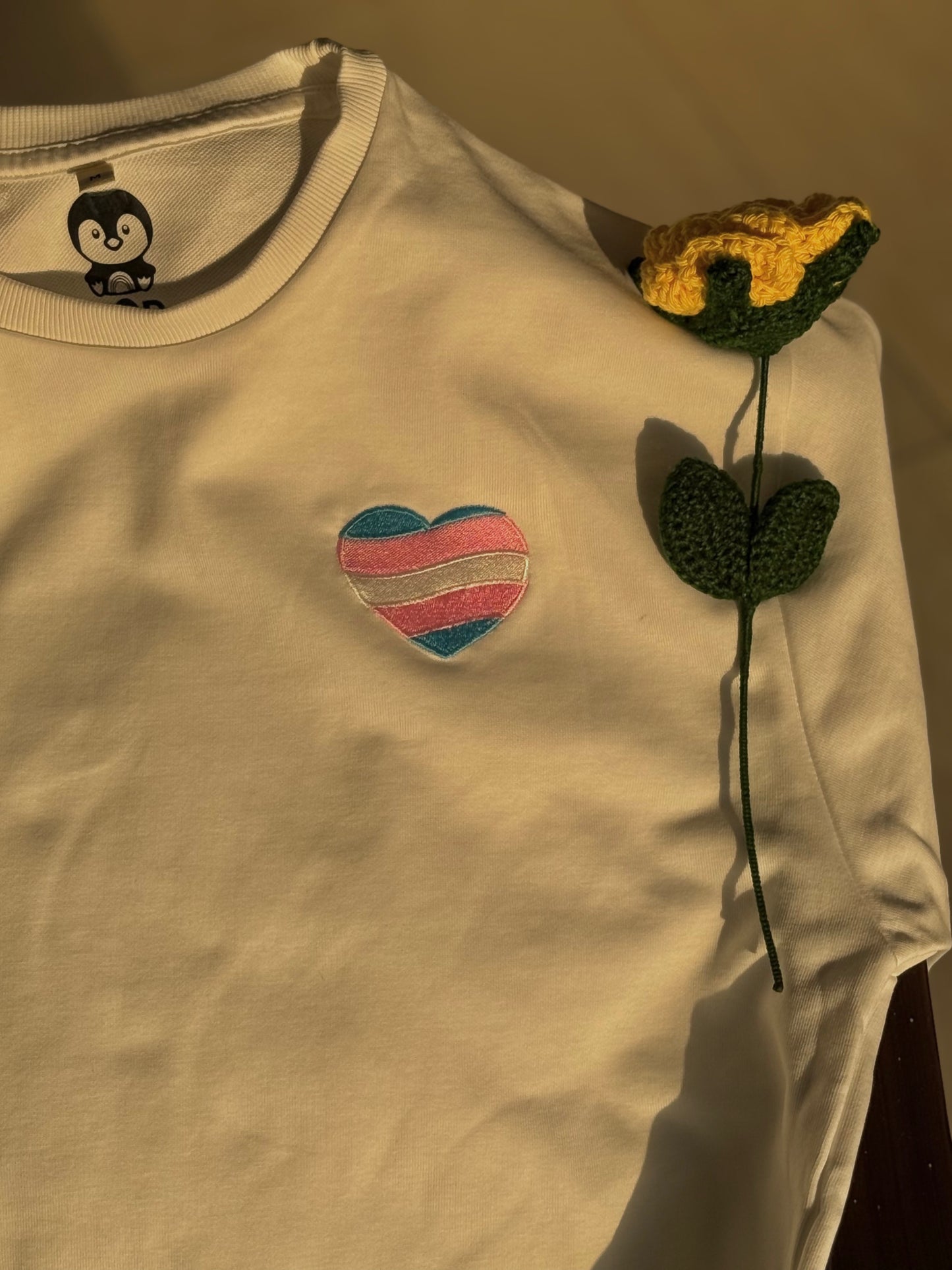 Transgender Flag Oversized T-shirt